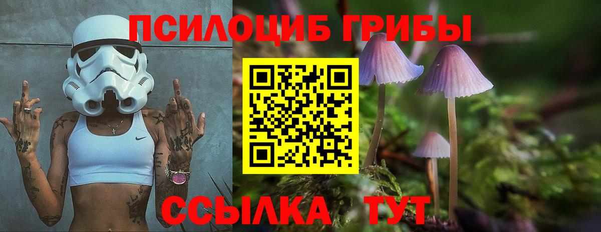 Псилоцибиновые грибы Magic Shrooms  Вход с VPN  Ханты-Мансийск 